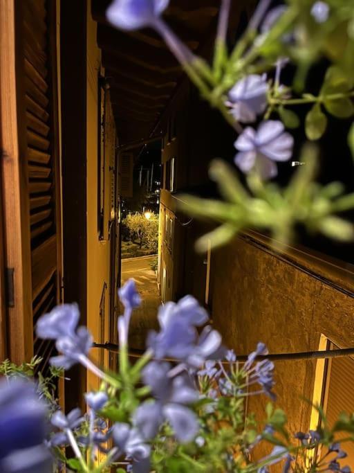 La Piccola Casa Al Lago - Intera Casa Con 3 Camere E 2 Box Сало Экстерьер фото
